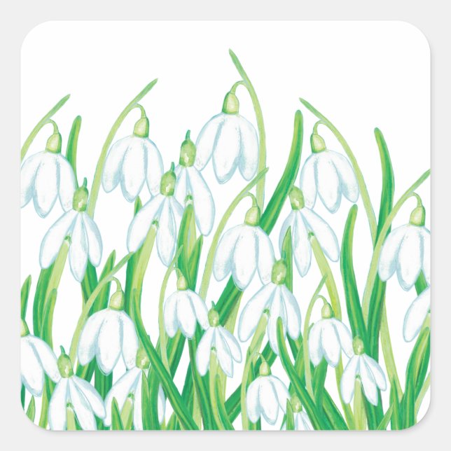 Frühlingssnowdrops Quadratischer Aufkleber (Vorderseite)