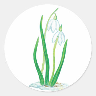 Frühlingssnowdrops Runder Aufkleber