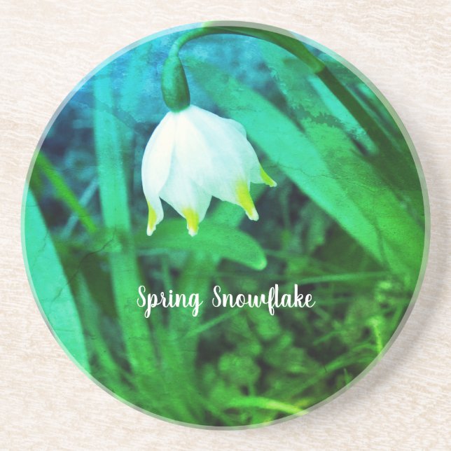 Frühlingssnowflake Leucojum Blume Getränkeuntersetzer (Vorne)