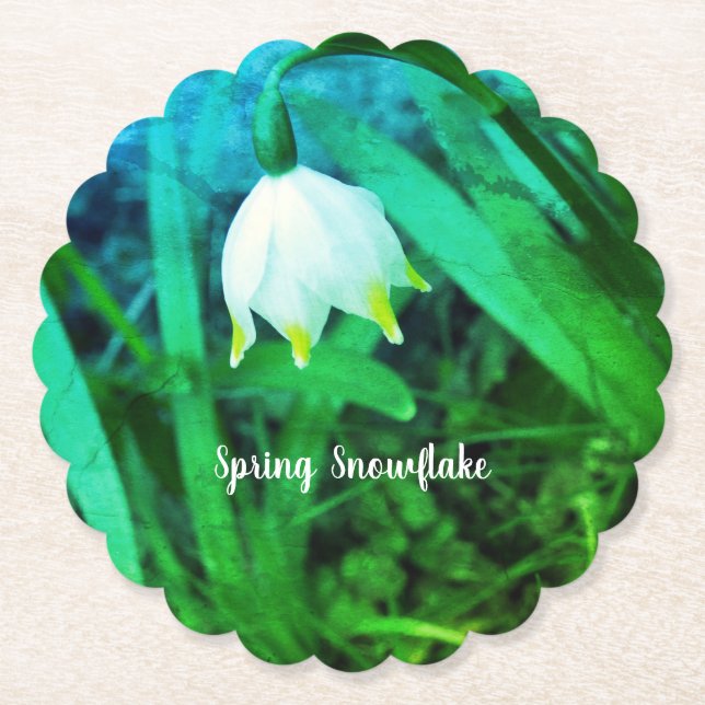 Frühlingssnowflake Leucojum Blume Untersetzer (Vorderseite)