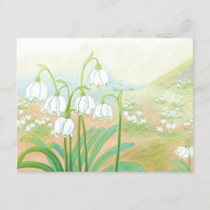 Frühlingssnowflake, Leucojum vernum Illustration Feiertagspostkarte