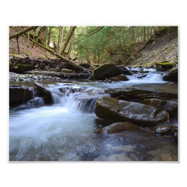 Frühlingssommer Abend am Fluss. Fotodruck (Vorne)