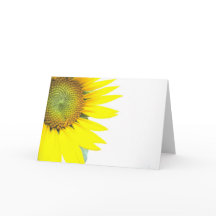 Frühlingssonnenblumen