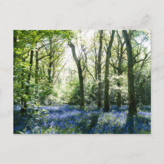 Frühlingsstuben Postkarte