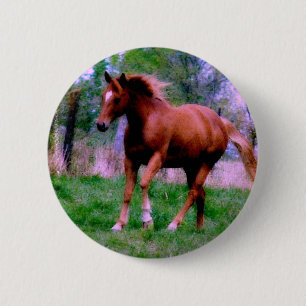 Frühlingstraum, Sorrel Trotting Button