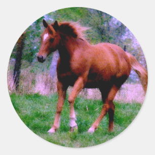 Frühlingstraum, Sorrel Trotting Runder Aufkleber