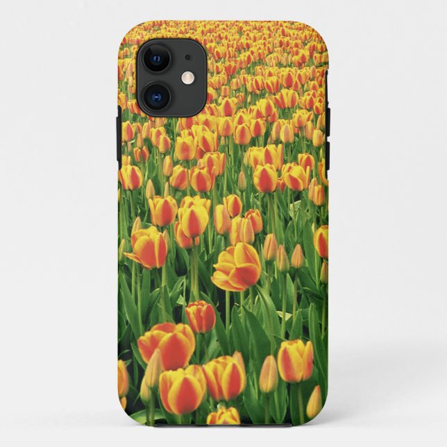 Frühlingstulips blühen vor der alten Scheune. Case-Mate iPhone Hülle (Rückseite)