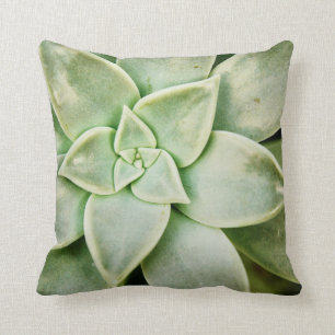 FrühlingSucculent Kissen