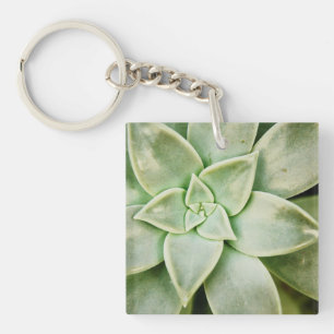 FrühlingSucculent Schlüsselanhänger