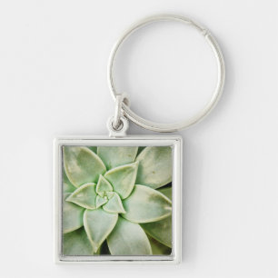 FrühlingSucculent Schlüsselanhänger