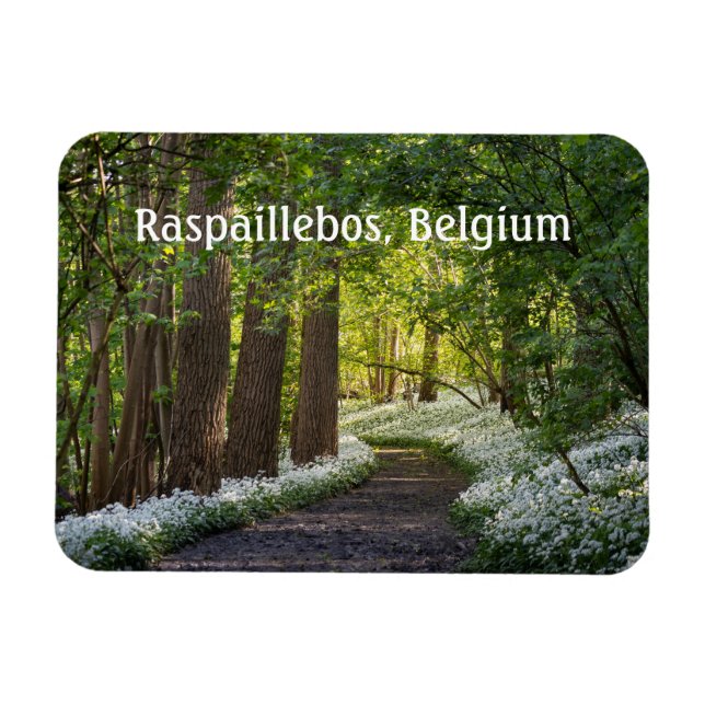 Frühlingsvormittag in Raspaillebos, Belgien Magnet (Horizontal)