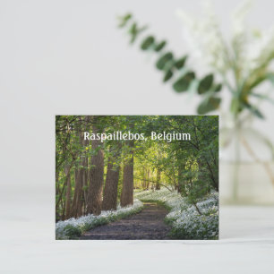 Frühlingsvormittag in Raspaillebos, Belgien Postkarte