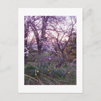 Frühlingsvormittag Postkarte