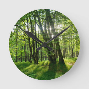 Frühlingswald Runde Wanduhr