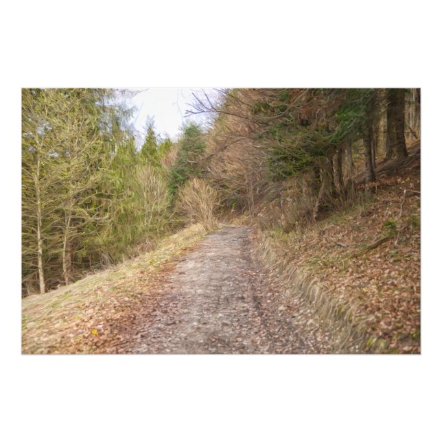 Frühlingsweg im Wald Fotodruck (Vorne)
