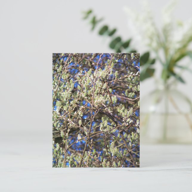 FRÜHLINGSWEIDE POSTKARTE (Stehend Vorderseite)