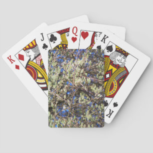 FRÜHLINGSWEIDE SPIELKARTEN