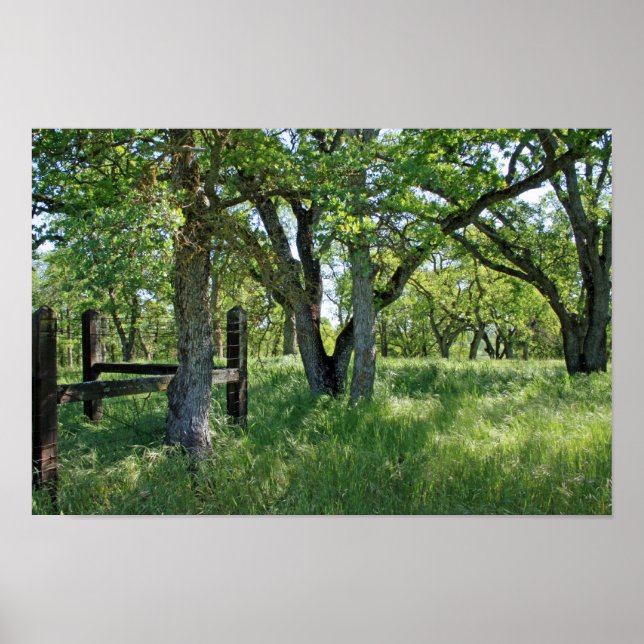 "Frühlingswiese" Poster (Vorne)