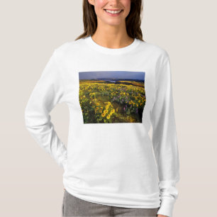 Frühlingswildblumen im Überfluss bei Tom T-Shirt