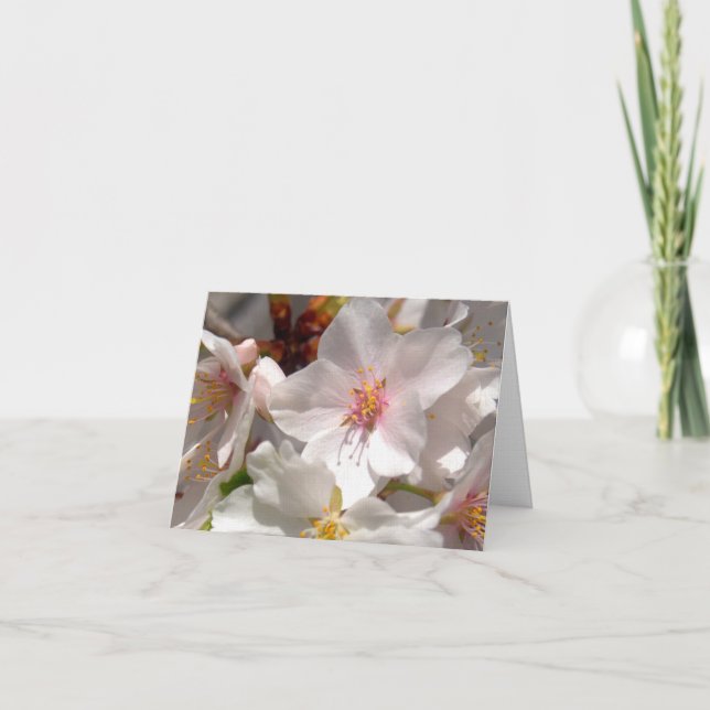 Frühlingszeit Dankeskarte (Vorderseite)