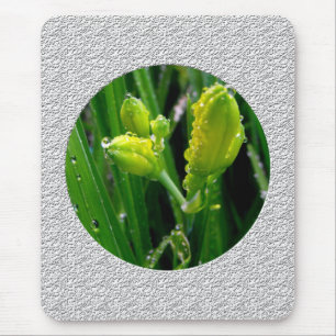 Frühlingszwiebeln Mousepad