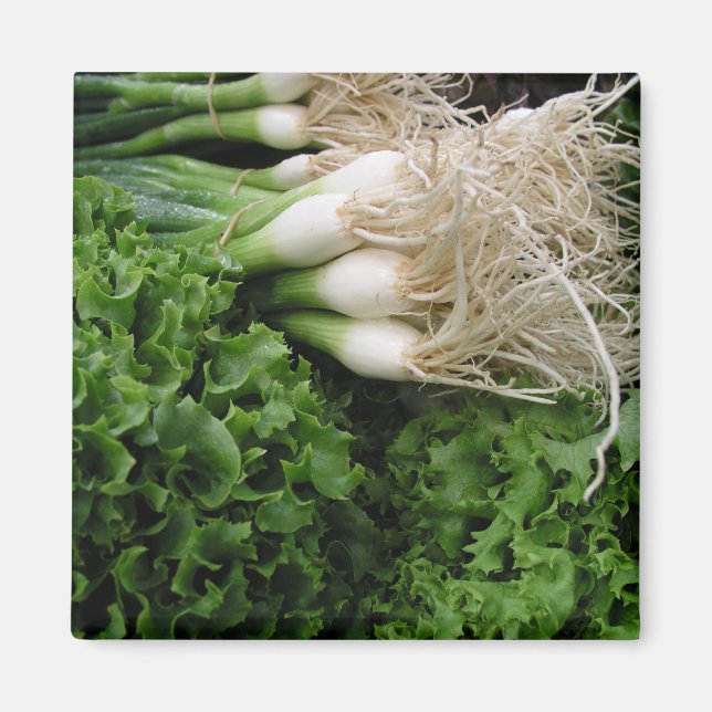 Frühlingszwiebeln und Salat Magnet (Vorne)