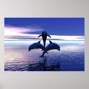 Frühmorgendliche Delphine Poster