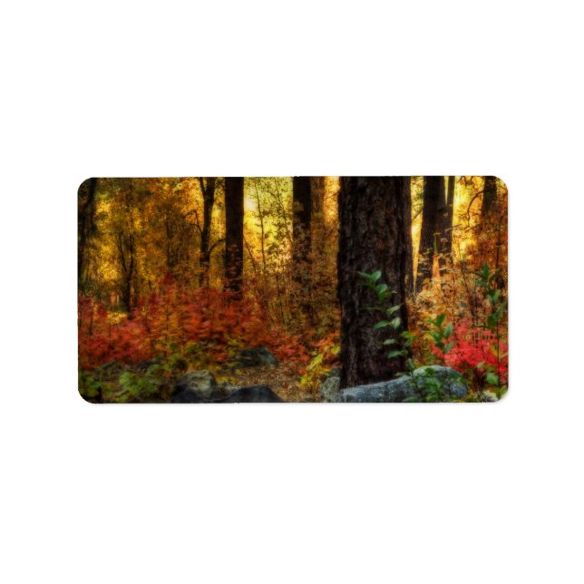 Frühmorgendlicher Spaziergang Adressaufkleber (Vorne)