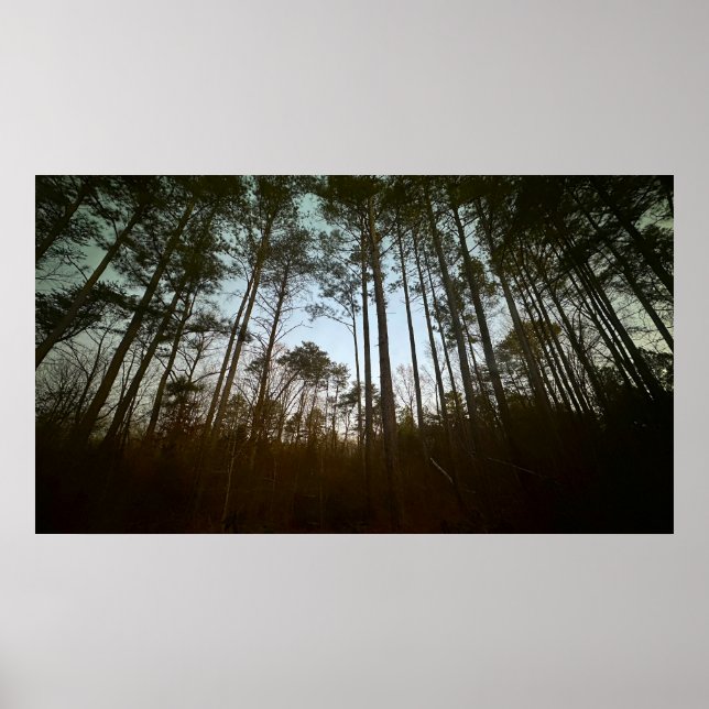 Frühmorgens im Januar 2025 Poster (Vorne)