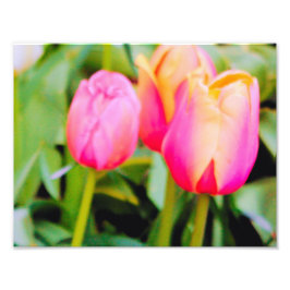 FRÜHSTÜCK FOTODRUCK