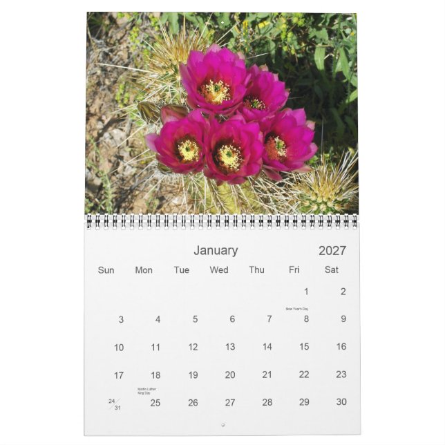 FRÜHSTÜCK IM WÜSTEN KALENDER (Jan 2027)