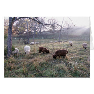 Frühstück in der Morgendämmerung