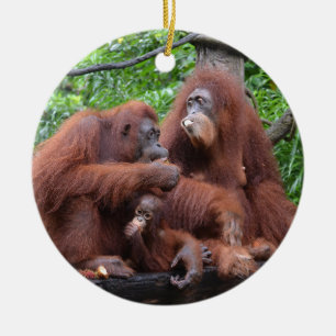 Frühstück mit dem Orangutans Zoo in Singapur Keramik Ornament