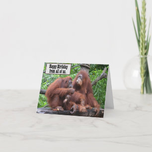 Frühstück mit den Orangutans Alles Gute zum Geburt Karte