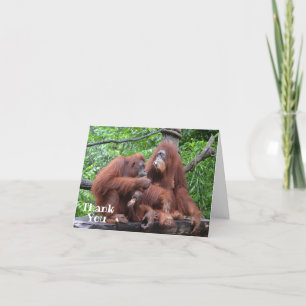 Frühstück mit den Orangutans Funny Dankeskarte