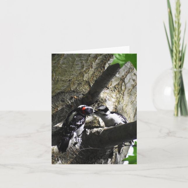 Frühstück (Woodpecker #1) - Blank Note Card Karte (Vorderseite)