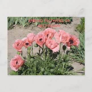 FRÜHSTÜCKE IN MICHIGAN POST CARD POSTKARTE