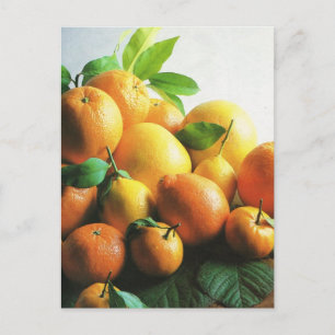 Fruit and vegetables, oranges and lemons postkarte