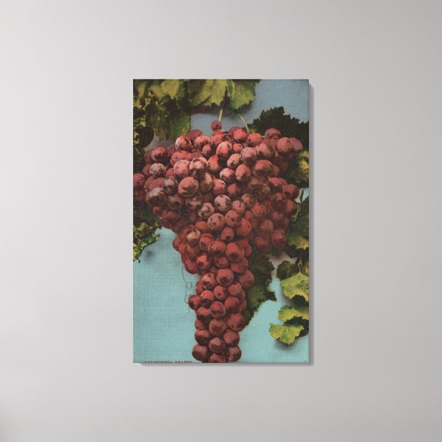 Fruit Chromo Lithograph of California Grapes Leinwanddruck (Vorderseite)