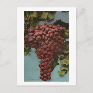 Fruit Chromo Lithograph of California Grapes Postkarte