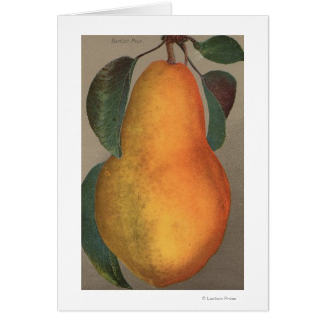Fruit Chromo Lithograph von Bartlett Pear (Vorne)