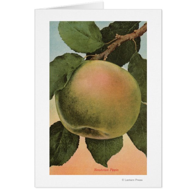Fruit Chromo Lithograph von Newtown Pippen (Vorne)