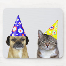 Frustrierter Hund und Katze mit Partyhütchen