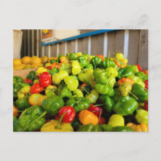 Frutera Aji Dulce Postkarte