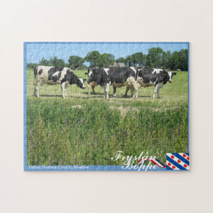 Fryslân Boppe Frisian-Holstein-Kühe in der Wiese Puzzle