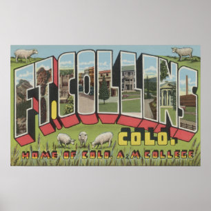 Ft. Collins, Colorado - Large Letter Scenes Poster