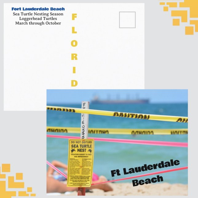 Ft Lauderdale Beach Turtle Nesting Season Postkarte (Von Creator hochgeladen)