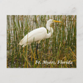 Ft. Myers Postkarte