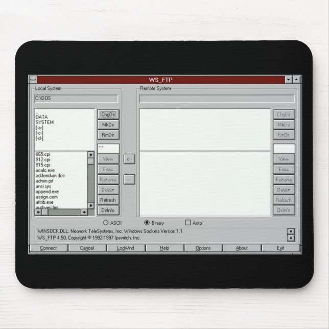 FTP um 1997 - Mousepad (Vorne)
