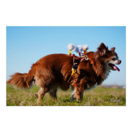 Fubby's die paardrijden op hun honden vriendje. poster